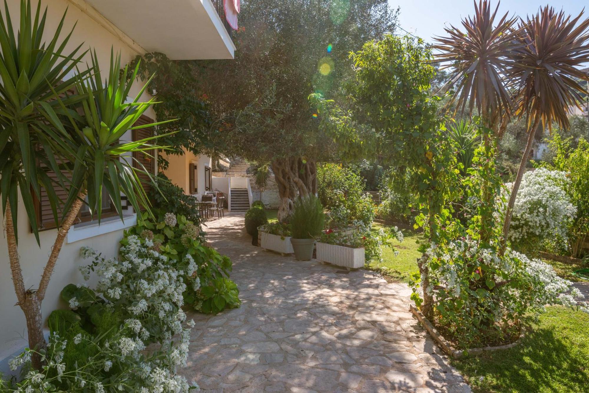 Angela Studios Sivota  Exterior photo